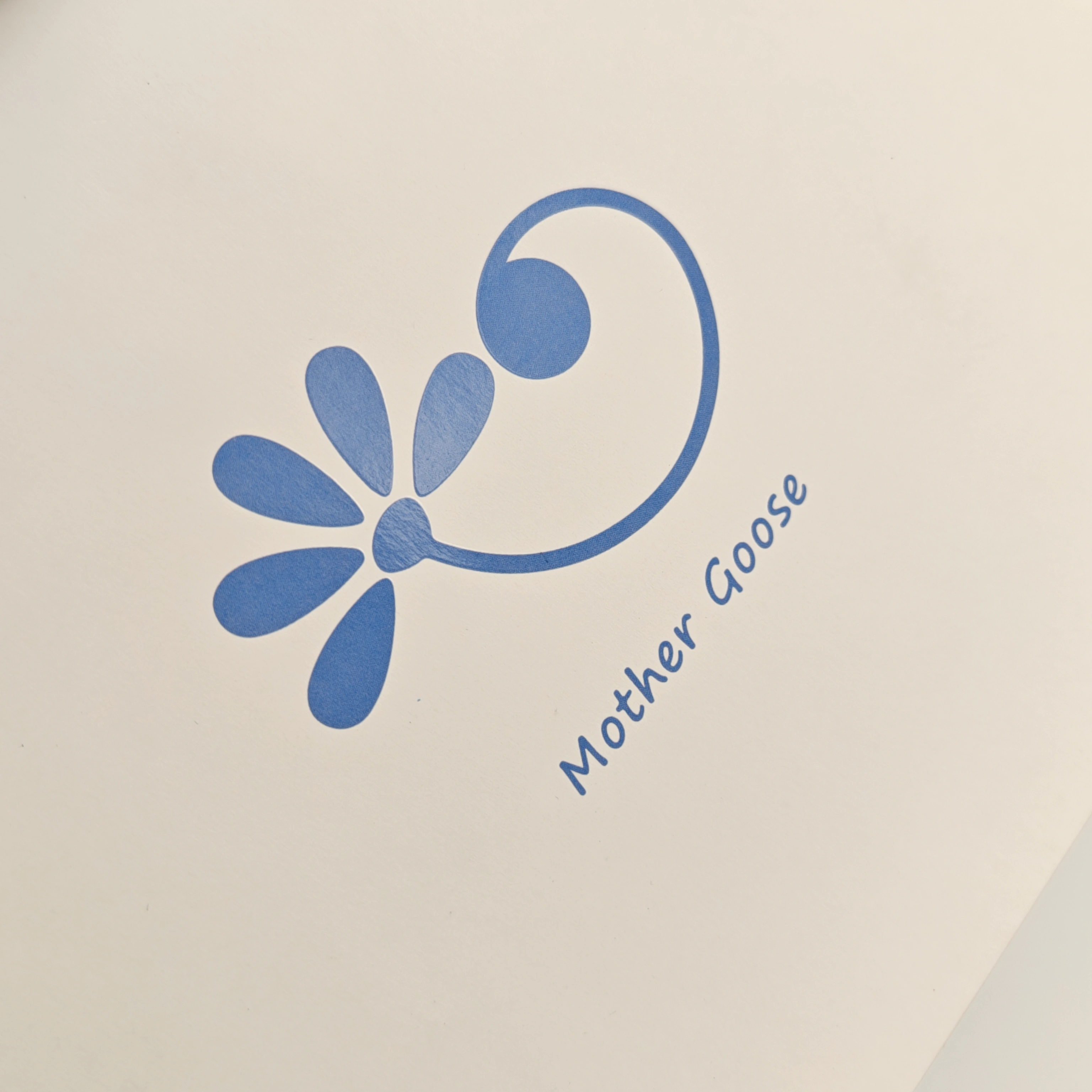 kağıt hediye çantası